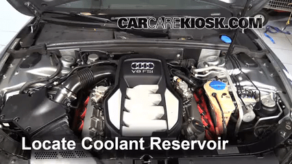 Transmission Fluid Level Check 2008 Audi S5 4.2L V8